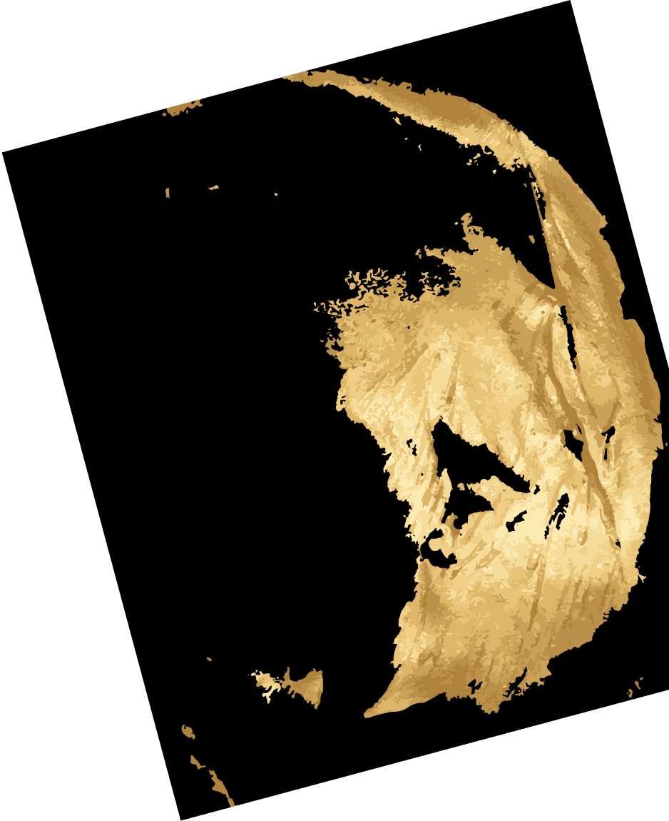 right brush stroke gold plain shape